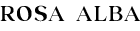 ROSA ALBA